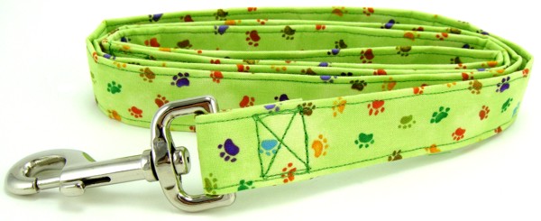 Green Rainbow Paws Dog Leash