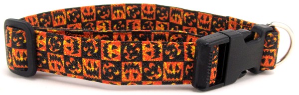 Jack O'Lantern Dog Collar