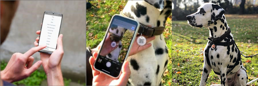 Easy to Activate YepiTag Pet ID