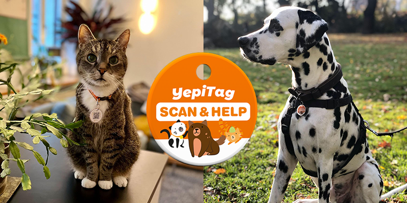 YepiTag - Smart Pet Tag