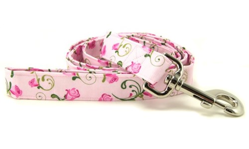 Tropical flowers, butterflies and fruity dog leashes